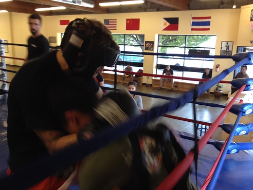 What are the Golden Gloves in Boxing? | NWFA