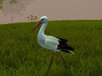 Fly Like A Bird 4 - Play On VitalityGames