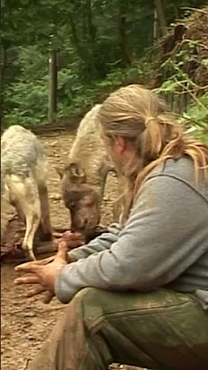 A Man Among Wolves: Shaun Ellis’ Shocking Life Inside the Wolf Pack