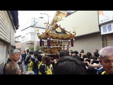 海南神社 例大祭2024 【付神輿：魚河岸】