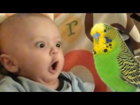 30 Funniest Cute Baby Compilation 😂😂😂 Fun and Fails Baby Video