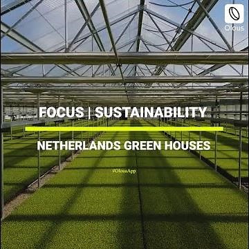 Agriculture in the Netherlands!