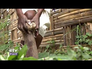 Etv Entertainment Live Stream