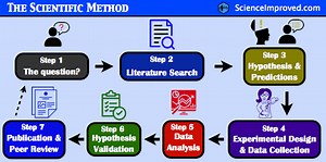 What Is The Scientific Method: Steps, Definition, And Examples | Science Improved