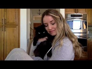 Cat loves being kissed