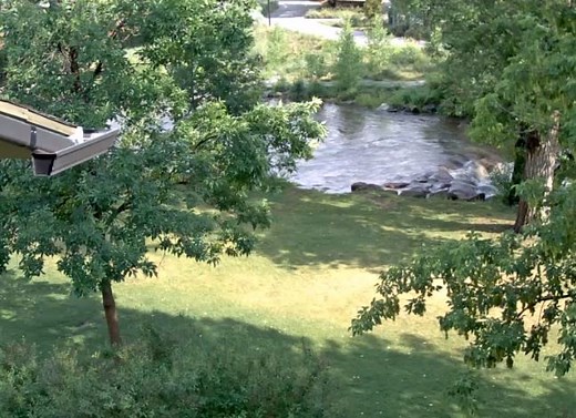 Boulder Creek Webcam | City of Boulder