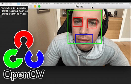 OpenCV Haar Cascades - PyImageSearch