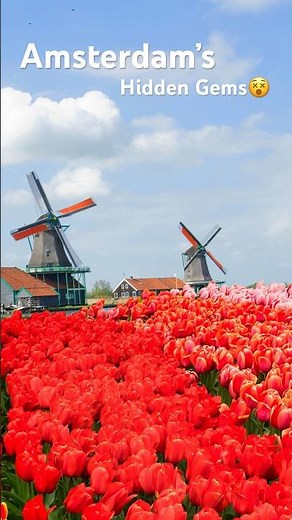 Must-Visit Places in Amsterdam! Top Attractions & Hidden Gems✨