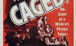 Caged - Where to Watch and Stream Online – Entertainment.ie