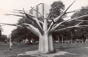 What Happened To The Liberty Tree At The Liberty Tree Mall?