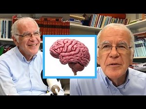 Dick Swaab on the illusion that life has meaning and the danger of a superorganism