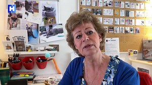 Haarlemse oorlogsverhalen uit WOII gebundeld in tijdschrift