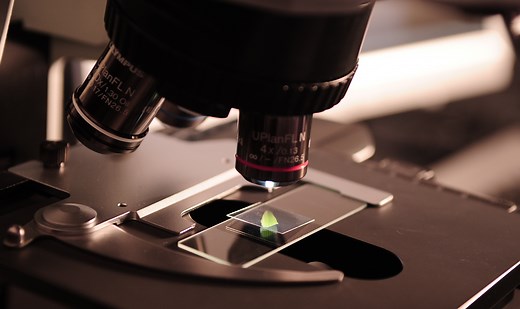 Science & Technology