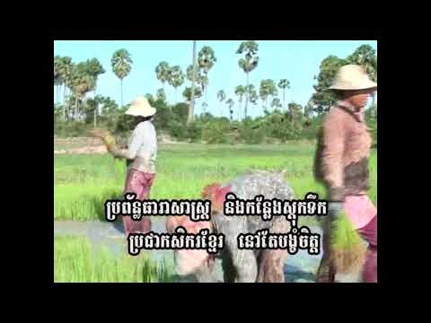 Video 04. ជីវិតកសិករ Rural Life Cambodian Farmers
