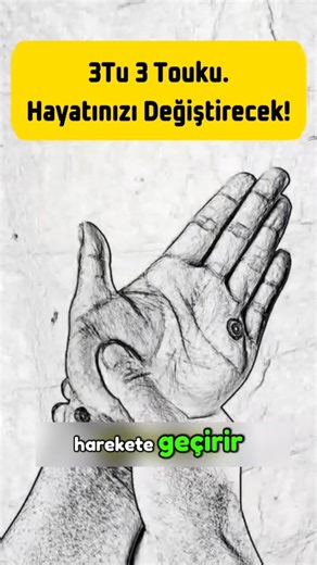 Egzersiz Öğren on Instagram: "Daha Fazlası İçin Takip @egzersiz.ogretmeni 👈 Okyanus: Mavinin Sonsuz Hikayesi Okyanus, dünyanın en büyük yaşam kaynağıdır. Yüzeyimizin yaklaşık p'ini kaplayan bu engin su kütlesi, sadece mavi bir manzara sunmakla kalmaz, aynı zamanda gezegenimizin iklimini dengeler, milyarlarca canlıya ev sahipliği yapar ve insanlık için sayısız kaynak barındırır. Dalgaların ritmi, rüzgârla dans eden suyun melodisi ve derinliklerinde sakladığı gizemlerle okyanus, hem huzur verir h