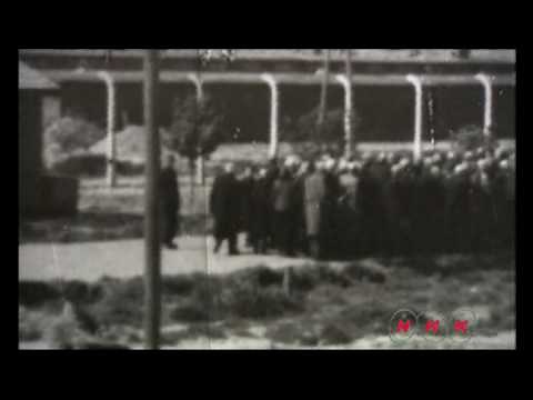Auschwitz Birkenau German Nazi Concentration and Extermination Camp (1940-1945) (UNESCO/NHK)