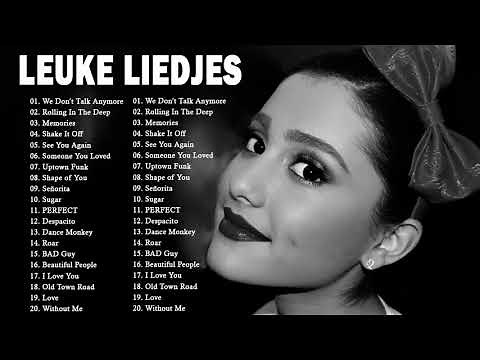 Top 40 Nederlandse Muziek 2020 - Beste liedjes van Nederland - Nieuwste Hits 2020