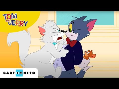 Tom and Jerry | Muizenjacht | Cartoonito