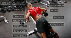 Back Workout Routine (Best Exercises For Mass)