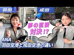 【ANA】羽田空港VS成田空港！働く従業員の歩数対決！【グランドスタッフ・整備士・グランドハンドリングスタッフ】
