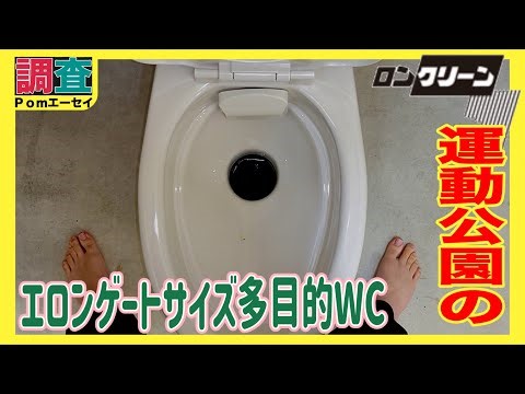 某スポ公のロン統一公衆 洋式DXP5070あり 和式は便皿不閉 ロンの便皿って壊れ易いの？！