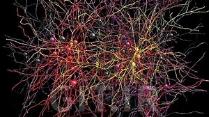 Learn OpenMP in C   (parallel programming)