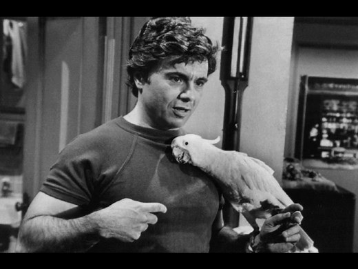 The best series of the 70s