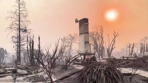 The Scars of Pacific Palisades Blaze: A Drone's Eye Perspective