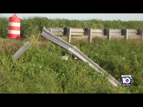 Sole Survivor of Car Crash That Killed 9 Tried to Save Family, Witness Says: 'He Was Saying, 'Please Help Me' '