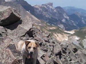 What a place to celebrate on this Earth Day! LAKE CITY, COLORADO is the "most remote place in the lower 48!" and is nestled in the mountains surrounded by…. WILDERNESS: Uncompahgre Wilderness, Powderhorn Wilderness, LaGarita Wilderness, Weninuche Wilderness, LaGarita Wilderness NATIONAL FOREST: Rio Grand National Forest, Gunnison National Forest WILDLIFE AREAS: Lake Fork of the Gunnison State Wildlife Area, Mason Family State Wildlife Area, Rio Hondo Reservoir State Wildlife Area, Brown Lakes St