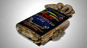 Entangled Life by my son Merlin Sheldrake is out now in the UK with rave reviews across the board! Here is a timelapse video of oyster mushrooms (Pleurotus) sprouting from a copy of Entangled Life with accompanying song by Cosmo Sheldrake. All sounds apart from voice and double bass are recordings of the fungus devouring the book. Recordings of the fungus were made by sound ecologist Michael Prime using electrodes which detect the bioelectric activity of the fungus and control a tunable oscillat