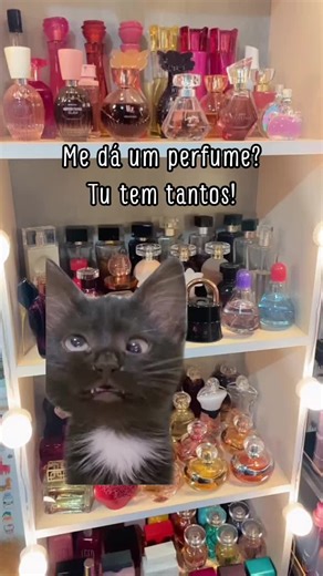 Meme sobre Perfumes: A Comédia das Fragrâncias