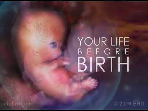 Jouw leven vóór je geboorte