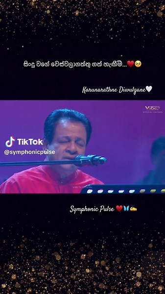 Symphonic Pulse: A Heartfelt Music Journey