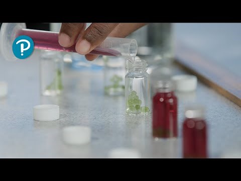 Pearson Edexcel (9-1) GCSE Combined Science & GCSE Biology core practical - light and photosynthesis