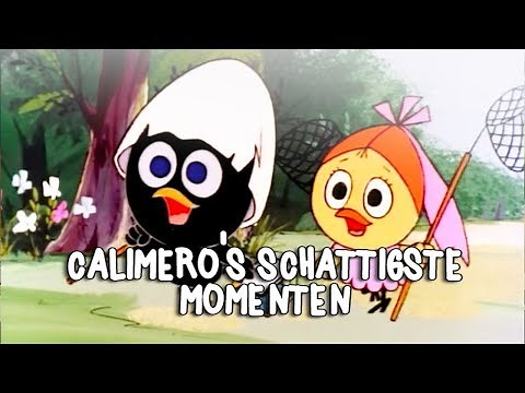 Calimero schattigste momenten 1