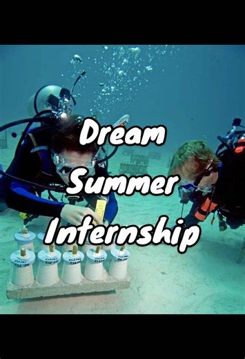 imagine spending your summer studying and researching and spending all your time in the water🌊 comment below if you want to learn about possible summer/fall internships #fyp #marinebiology #marinescience #summer #internship #dream #study #research #experience