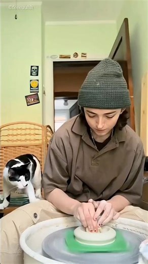 This naughty cat got pottery surprise 🥰❤️ #viral #viral #facts #facts #cartoon #dogs #moviereview