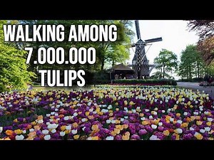 Keukenhof 2026 OPEN 🌷 March 19 - May 10 [4K]