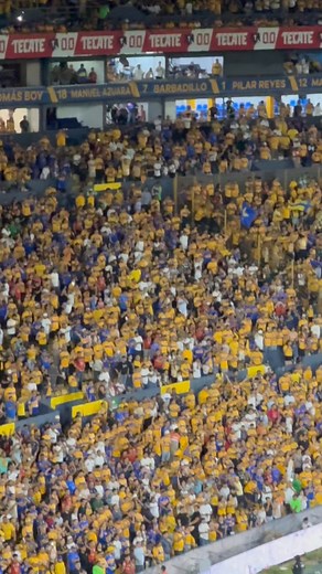 🐯 🎵 🐯 | CM Sports