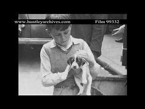 Liverpool Docks Mid 1950's. Archive film 99332