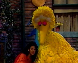 Sesame Street: Sesame Street Home Video Visits The Hospital (1990 VHS) (Higher Quality)