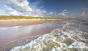 Discover the amazing beaches of the Netherlands