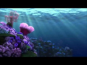 Finding Nemo-Field Trip (Extended)