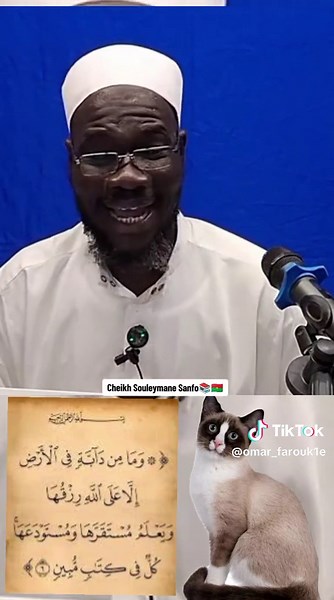 @cheick Souleymane Sanfo