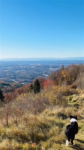 Marlies Jesernik on Reels