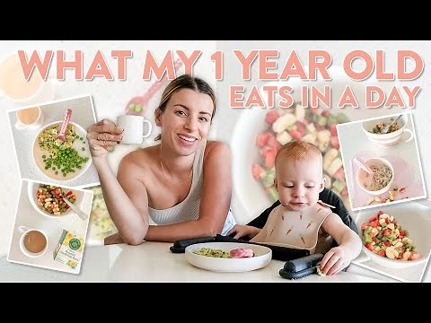 WHAT MY 1 YEAR OLD EATS IN A DAY | Easy and Healthy Meal Ideas for a Toddler!