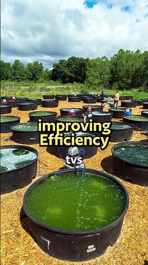 Biofuels Unleashed: Plant Power Fueling the Future!