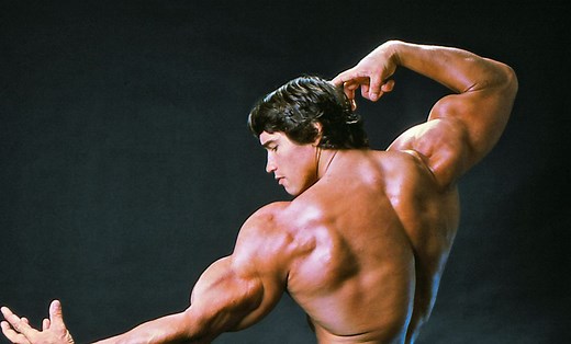 How big were Arnold Schwarzenegger's biceps in his prime?