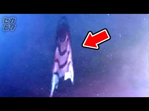 ライブ配信中に謎の巨大物体が出現し、NASAが放送を中断！近年、目撃された未確認飛行物体